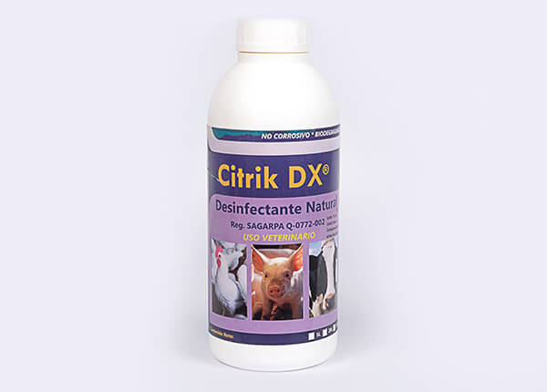 citrik dx